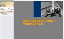 What it look like when developing ABAP on SAP