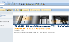 [SAP] Installing miniSAP
